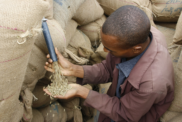 trade warehouse bags