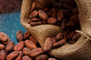 Cocoa beans from the Ivory Coast