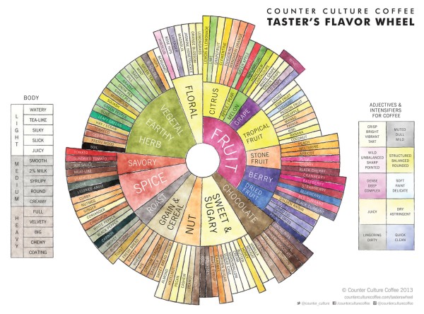 The Counter Culture Coffee Taster's Flavor Wheel (positive descriptors)
