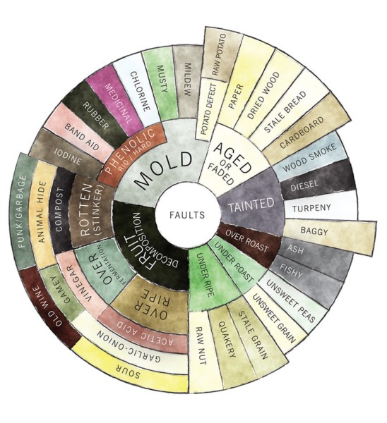 The Counter Culture Coffee Taster's Flavor Wheel (faults descriptors)