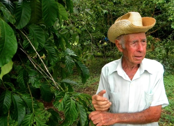 coffee farm industry in Cuba