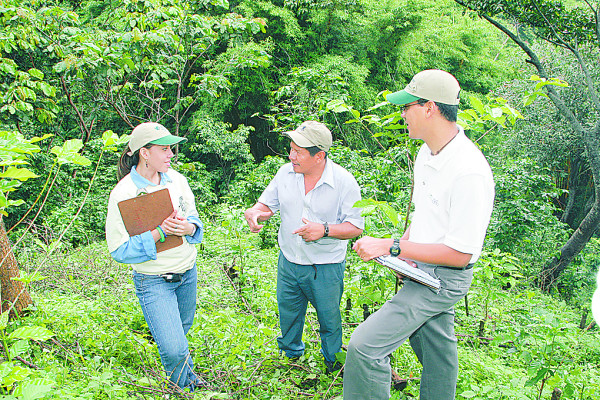 rainforest alliance SAN coffee farms