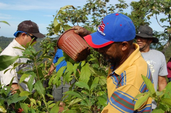 Coffee farmers in Costa Rica. Photo by the US Fish & Wildlife Service