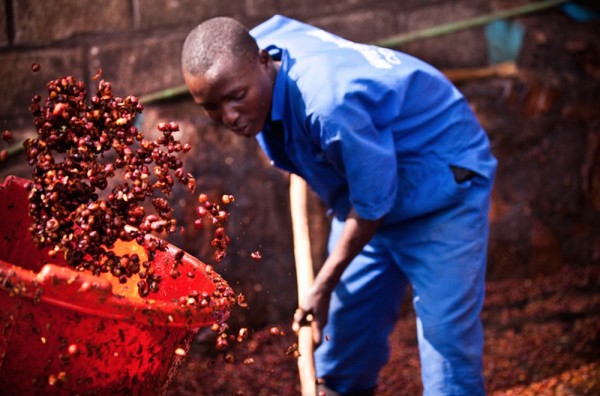 Processing in Rwanda. Photo courtesy of A Film About Coffee. 