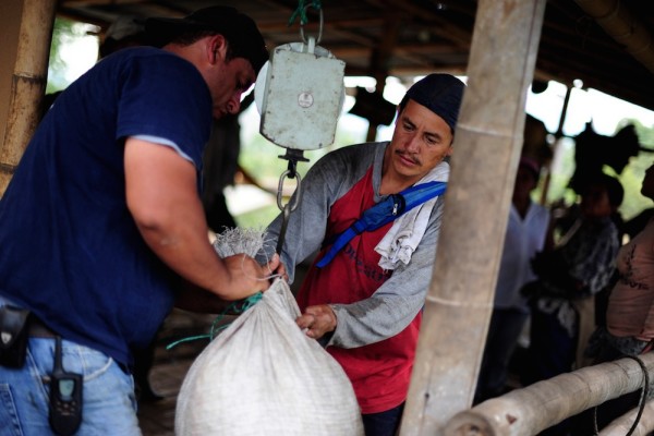 coffee weighed colombia farm
