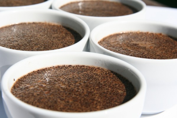 coffee cupping 