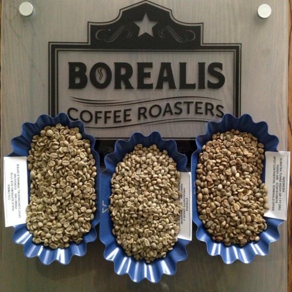 Borealis coffee logo green