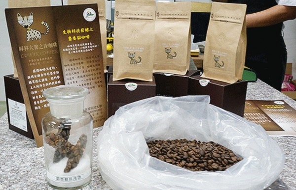 The university is roasting and branding the biochemically produced luwak coffee. 