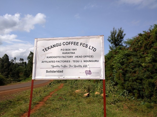 Nyeri country coffee tekangu society