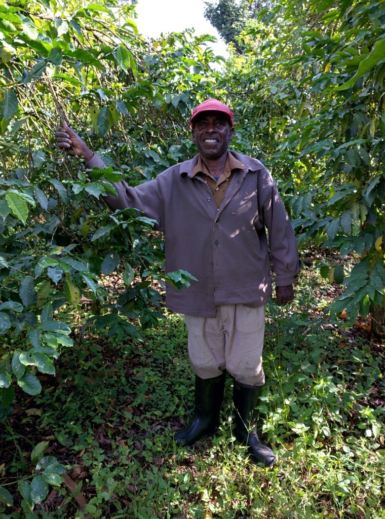 smallholder farmer in Nyeri Kenya