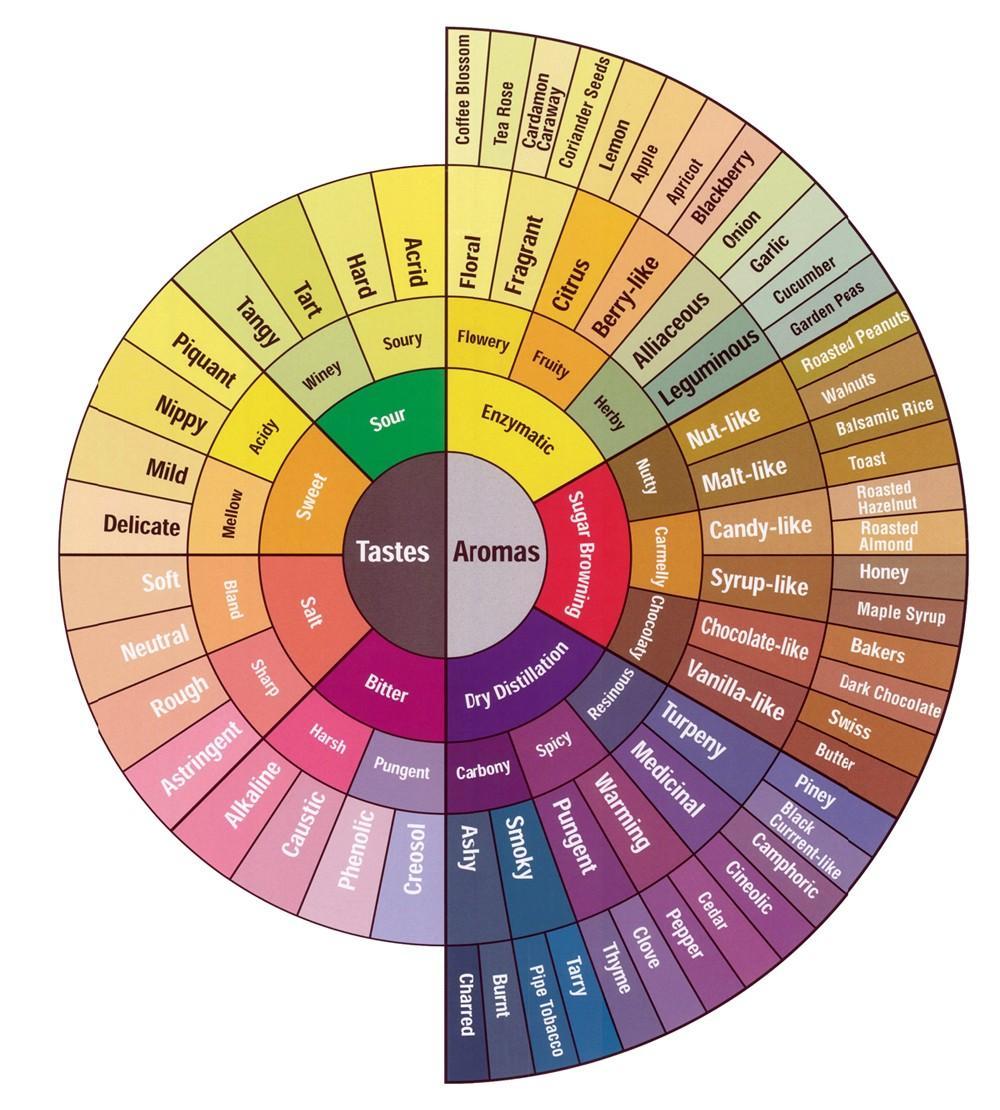 The SCAA Coffee Taster's Flavor Wheel. Might a revised addition include "fat" or "fatty?"