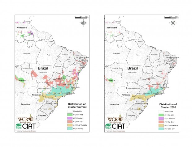Mapping current and future climatic conditions and "suitable" growing land in Brazil. 