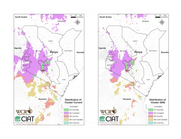 Mapping current and future climatic conditions and "suitable" growing land in East Africa. 