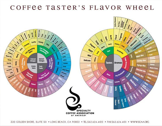 The previous SCAA flavor wheel, developed by Ted Lingle 21 years ago. 