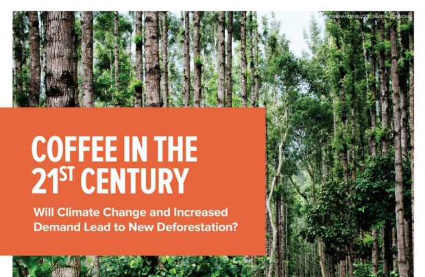 coffee climate change