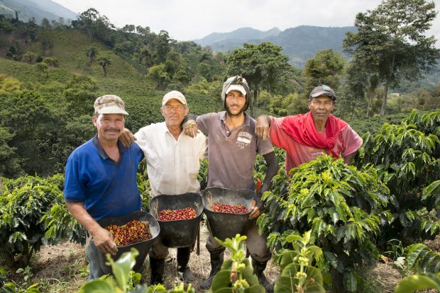Photo by Julio Flórez, 2015. Coffee triangle, Colombia. Courtesy of the SCAA. 