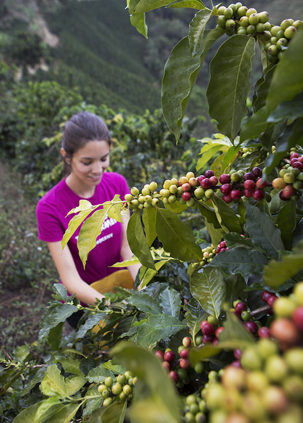 Maria Palacio in the coffee fields earlier this year. All images courtesy of Progeny Coffee. 