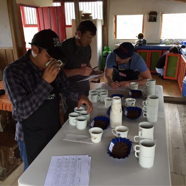 Cupping in Colombia