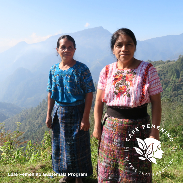 Café Femenino Guatemala program marketing image. 