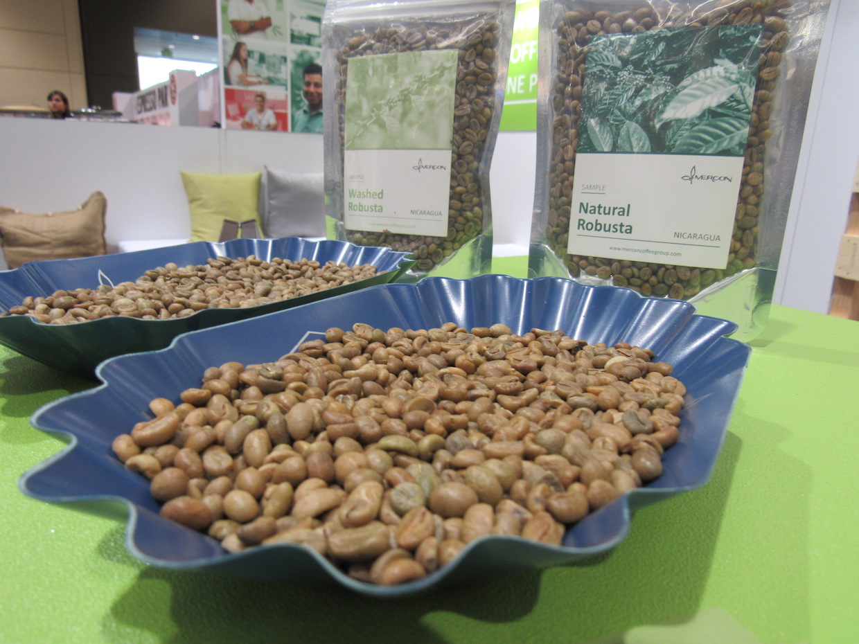 Mercon robusta offerings at the SCA Expo in Seattle. Images courtesy of Mercon Coffee Group. 