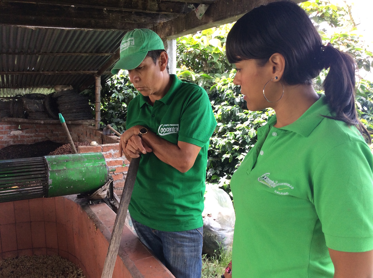 At the Coocentral Cooperative in Huila, Colombia. Image courtesy of Sustainable Harvest. 