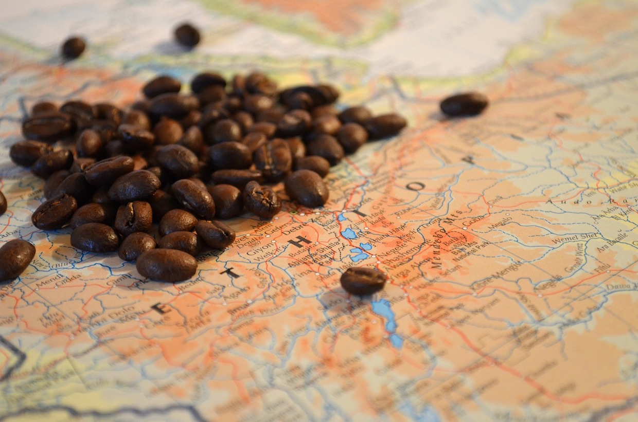 ethiopia coffee arabica