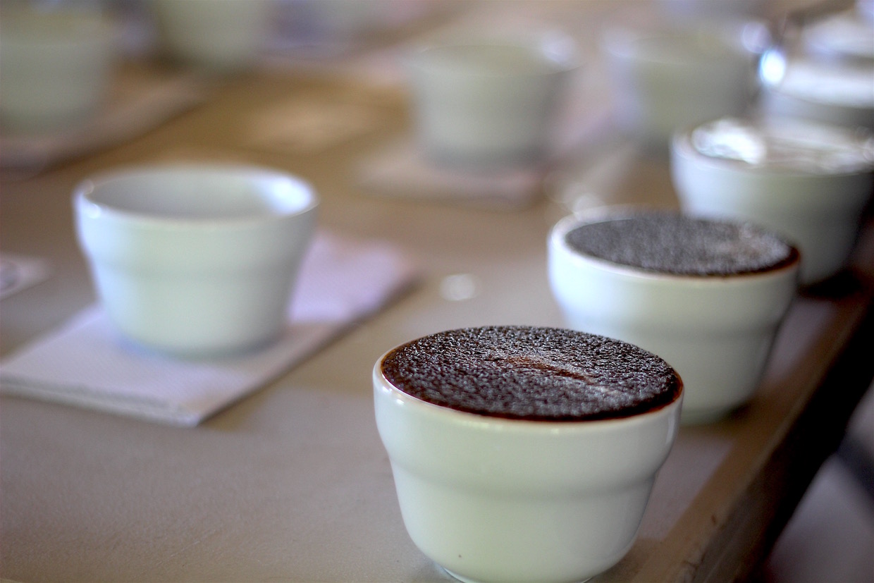 coffee cupping and silent auction