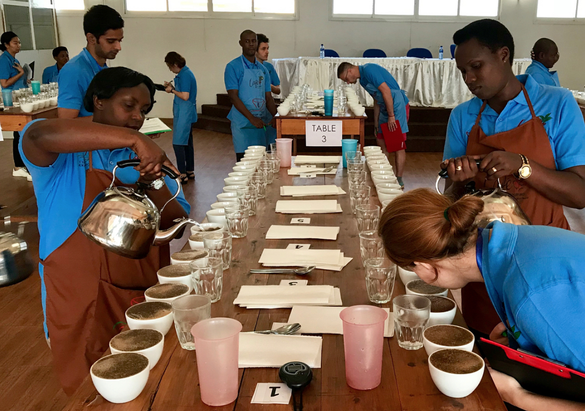 Burundi coffee cupping
