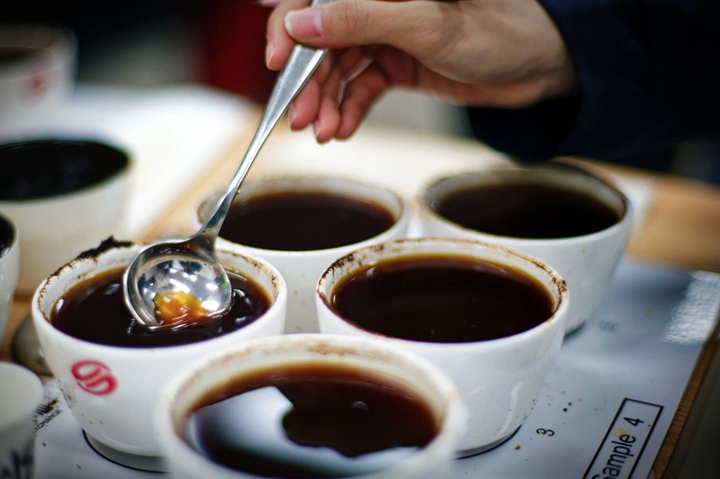 Yunnan coffee cupping