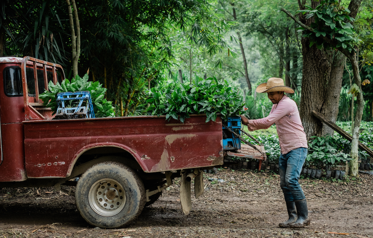 Coffee_Farmers_Central_America_2
