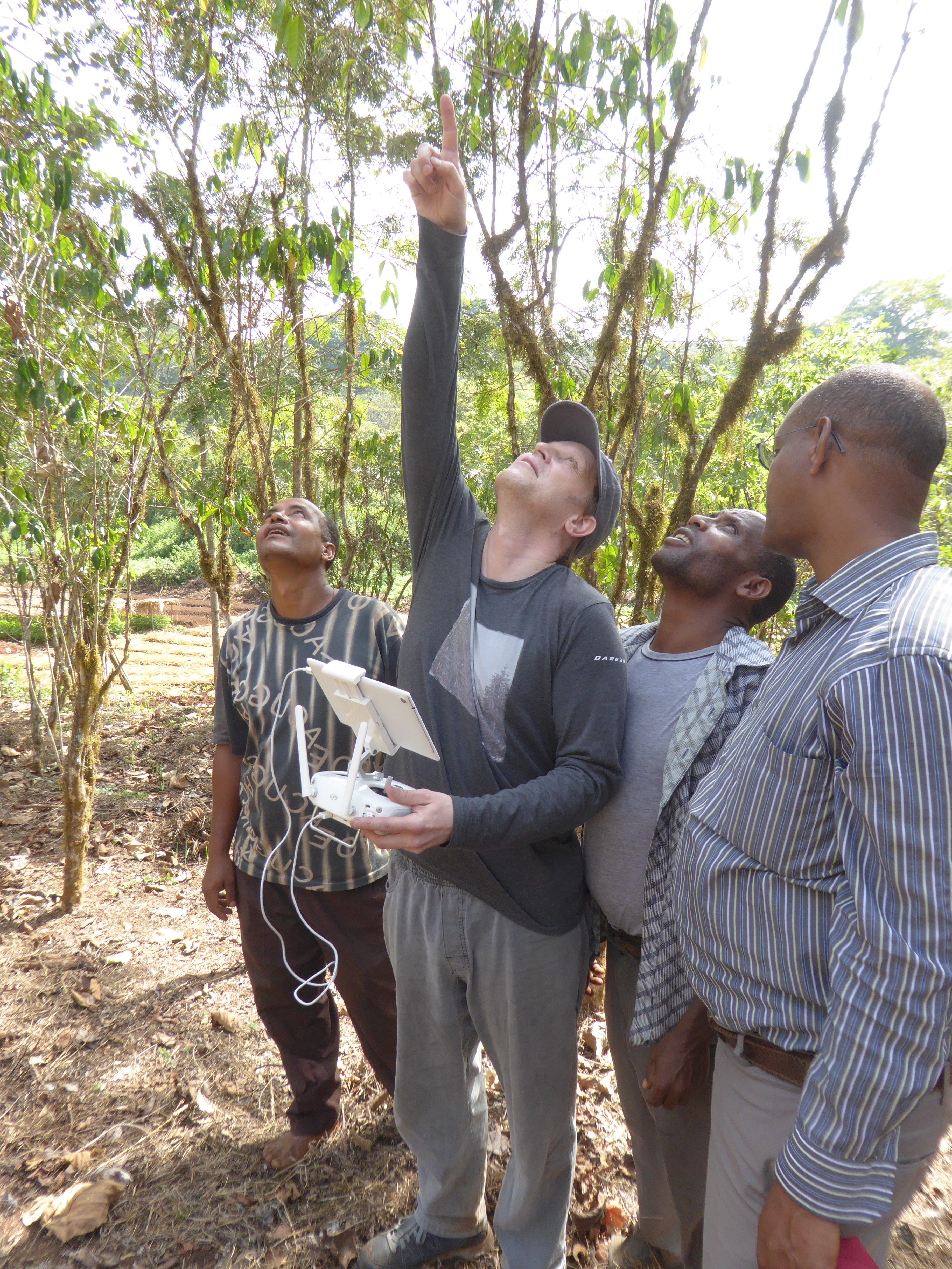 Kew scientist Dr Justin Moat, using drone technology to measure coffee production, south-west Ethiopia. Image RBG Kew.