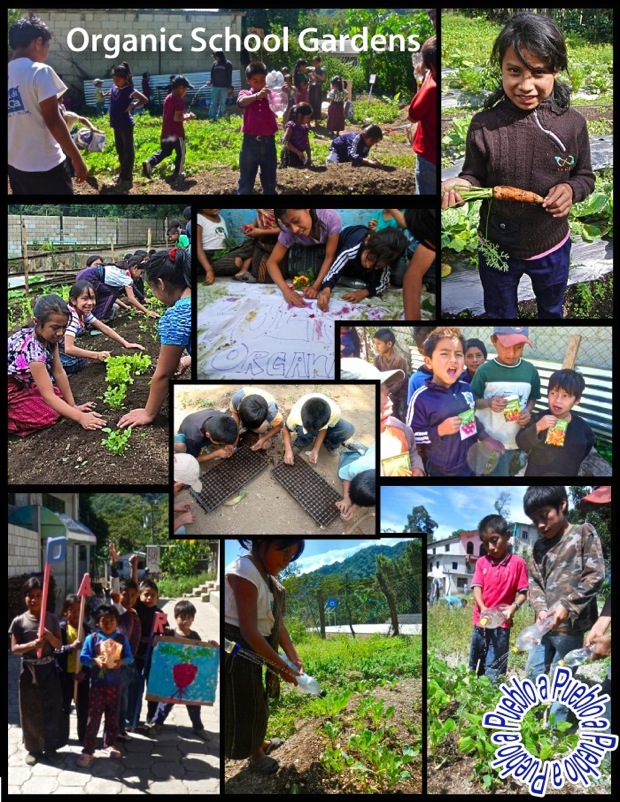 organic school gardens by Pueblo a Pueblo