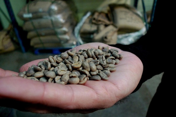 bags of arabica back on market after hurricane