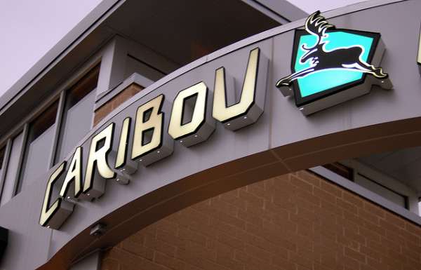 Caribou Coffee stores closing