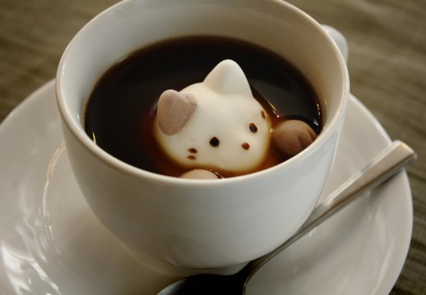 marshmallows mimic latte art