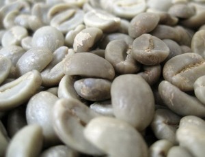 world coffee prices drop to four-year low