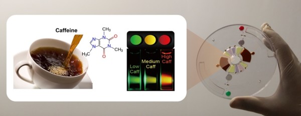 caffeine sensor lights up like a traffic light