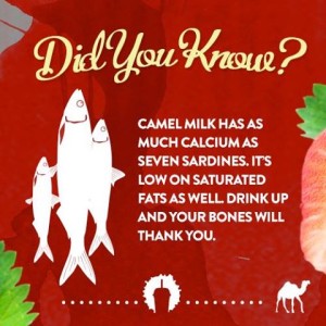 costa coffee new camel milk promotion