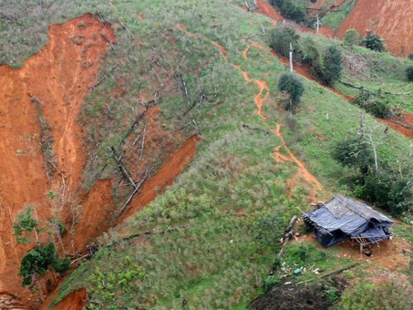 colombian_farm