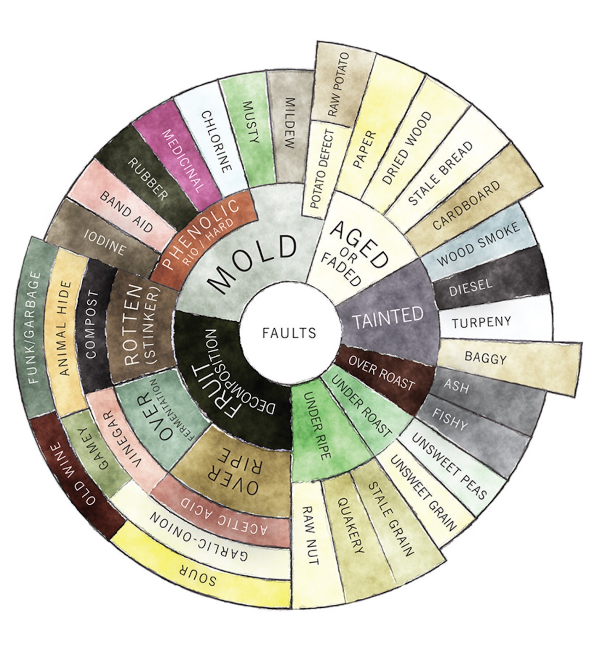 👅The *new* Taster's Flavor Wheel, - Counter Culture Coffee