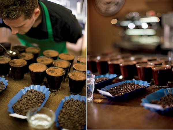 starbucks_cupping