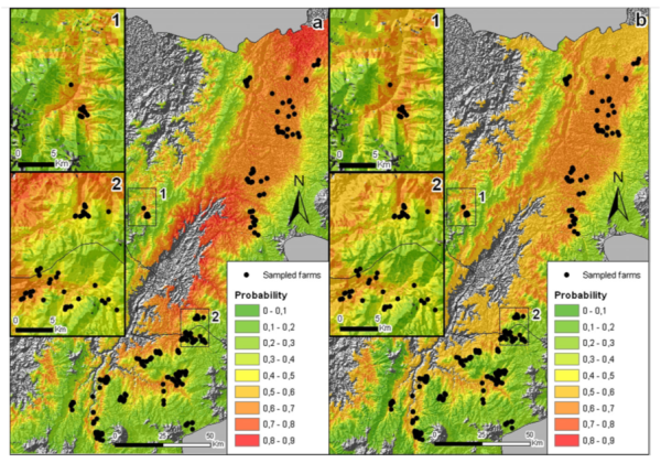 Figure 2. Identification of high quality niches: Probability of the beans produced in Cauca and Nariño to have high acidity (left map) and high flavor (right map) content (from Oberthür et al, 2011).