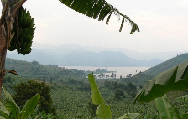Lake Kivu. Photos courtesy of Higher Grounds. 