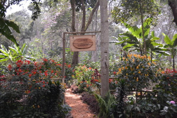 A shot of the entry way to the Coffee Garden