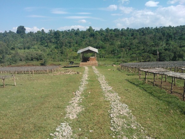 Ethiopia coffee drying stations