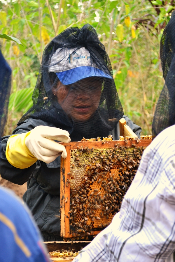 beekeeping2