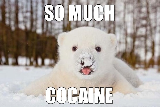 cocaine bear