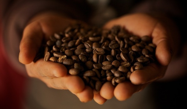 fair trade coffee beans