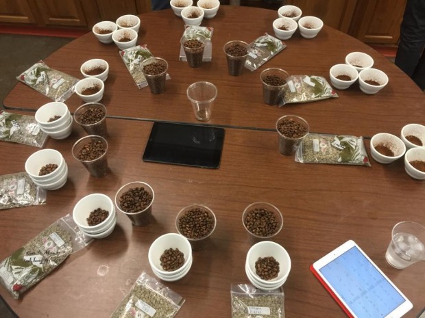 Inside the Apex cupping lab