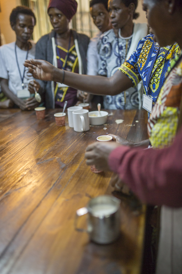 Question Coffee Rwanda Sustainable Harvest